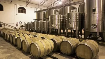 Vinos