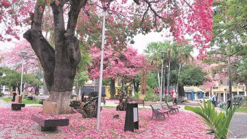 importada-feed_2000749397_1140x520