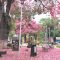 importada-feed_2000749397_1140x520