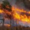 incendios-argentina