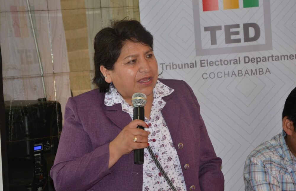 Dina Chuquimia, vocal del TSE