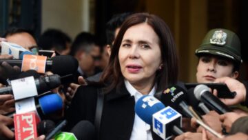 Karen Longaric, excanciller