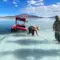 salar-de-coipasa