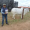 unnamed-2024-03-27T123928.391
