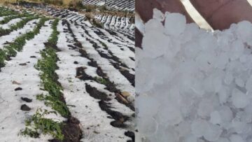 granizada_101-10195238_20241016162920