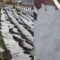 granizada_101-10195238_20241016162920