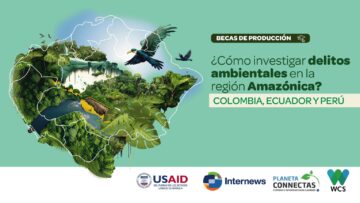 IMAGEN-AMAZONAS-oct-nuevo-06-1-1536×865
