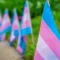 trans-flags