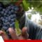 FOTO-NOTAS-WEB-4-5