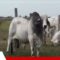 FOTO-NOTAS-WEB-22