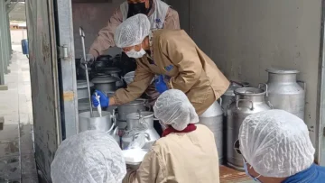 2025040817384456808