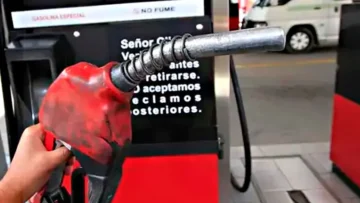 2025103108114081138