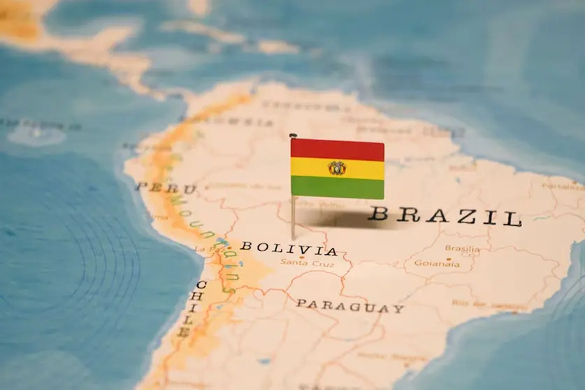 En el ámbito regional, Nanni ubica al mercado boliviano entre los más pequeños de la región.