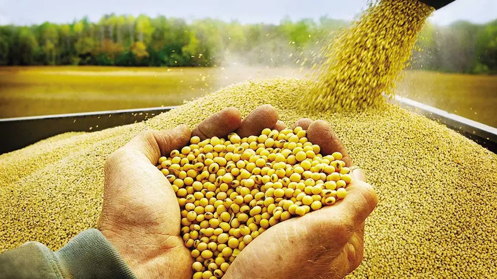 Valores. La exportación de productos derivados de la soya llegó a $us 77,1 millones en noviembre, mayor a los $us 42,1 millones registrados en similar periodo de 2024.