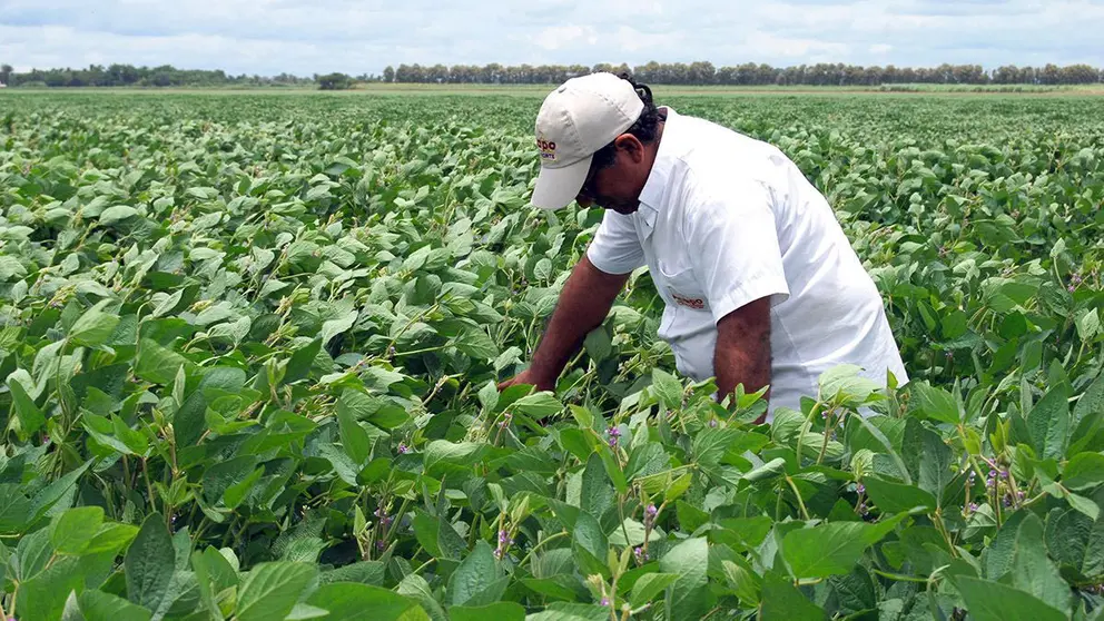 Anapo explicó que Bolivia ya mantiene arancel cero para la importación de productos provenientes de países del Mercosur desde hace varios años.