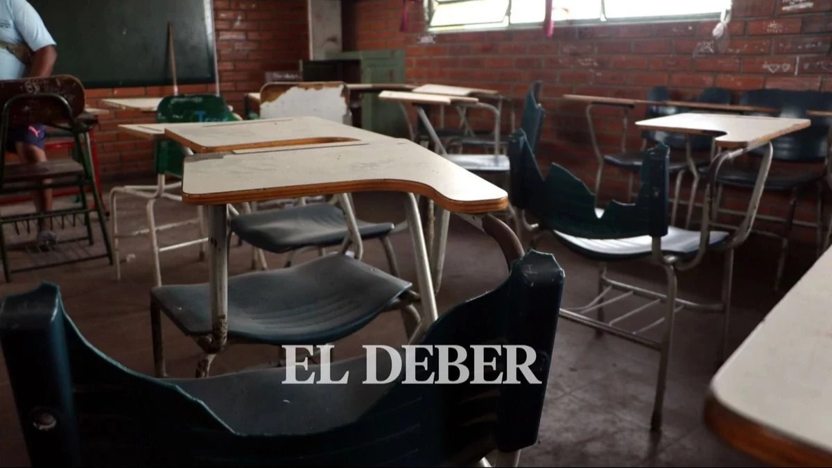 Imagen referencial