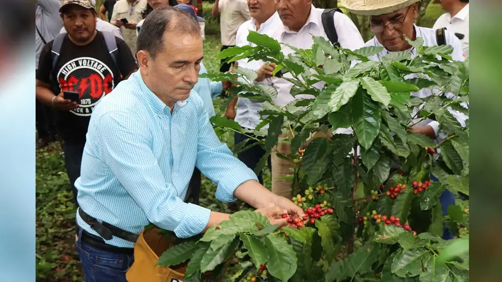 En los últimos cinco años, el precio del café arábica ha experimentado una volatilidad sin precedentes, impulsada por crisis climáticas y disrupciones logísticas.