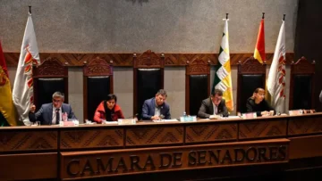 Con la sanción legislativa concluida, el proyecto será enviado al Órgano Ejecutivo