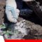 FOTO-NOTAS-WEB000010-1068×561